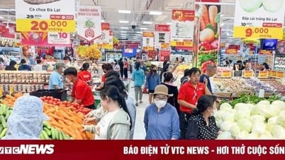Expertos predicen tres escenarios de crecimiento del PIB con nueva política arancelaria de EE.UU.