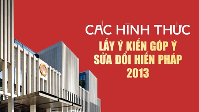 Gửi báo cáo tổng hợp kết quả lấy ý kiến trước ngày 23-5-2025