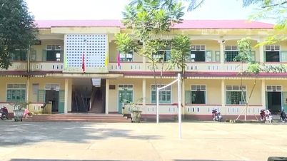 [Video] Nhiều địa phương miễn 100% học phí cho học sinh và trẻ mầm non