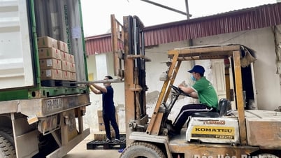 “Kiến tạo” mùa vàng trên những cánh đồng xanh