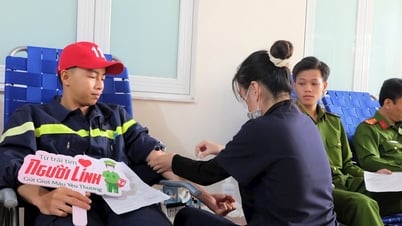 Quảng Nam tổ chức tôn vinh người hiến máu tình nguyện tiêu biểu năm 2025