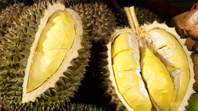 Giá sầu riêng hôm nay 10/5: Thị trường giảm giá