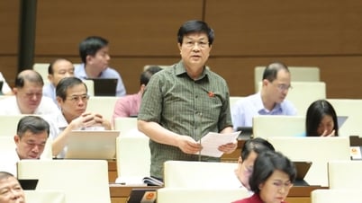 Proposal to tighten only high-risk AI, avoid hindering innovation