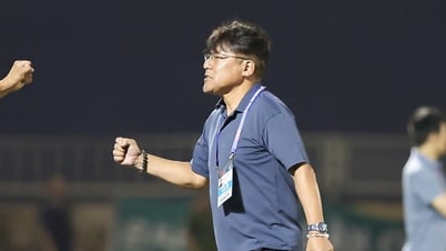 El entrenador japonés sospecha que los árbitros vietnamitas no están sujetos a las regulaciones de la V-League