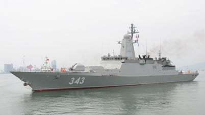Đội tàu thuộc Hạm đội Thái Bình Dương, Hải quân Liên bang Nga thăm Đà Nẵng