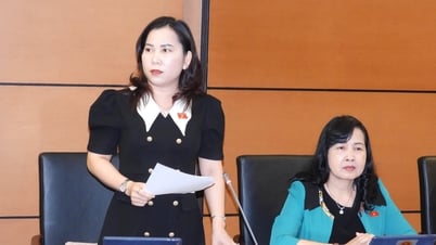 国会は企業法、計画法、エネルギーの経済的かつ効率的な使用に関する法律の3つの法案を審議した。