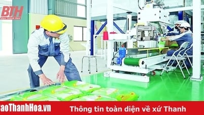 FTA tiếp sức cho hàng hóa vươn tầm