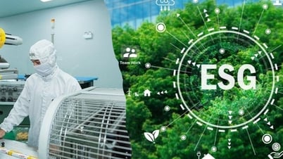 Khuyến khích doanh nghiệp phát triển xanh - Gỡ khó trong việc tiếp cận các tiêu chuẩn
