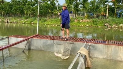 การพัฒนาเศรษฐกิจครัวเรือนในตำบลดงวาน