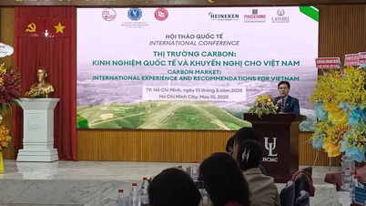 Early completion of legal framework to participate in carbon market