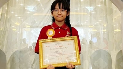 Zwei Studenten gewannen den ersten Preis bei einem vietnamesischen Sprachwettbewerb