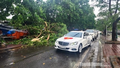 Trận dông lốc sáng 10-5 gây thiệt hại lớn cho người dân