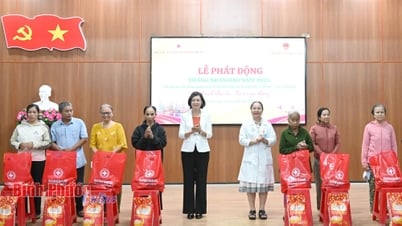 빈프억: 2025년 인도주의의 달 시작