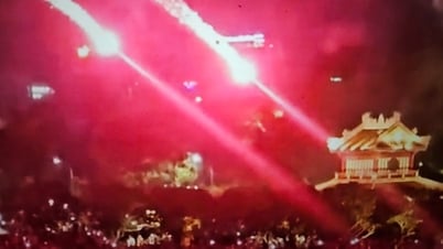 Solicitud de documentos sobre la artillería utilizada para disparar contra la Torre de la Bandera de Hue