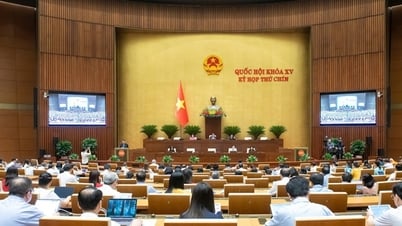 Quốc hội thảo luận về một số nội dung còn ý kiến khác nhau của dự thảo Luật sửa đổi, bổ sung một số điều của Luật Quảng cáo