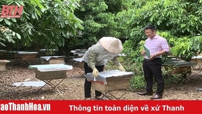 កសិករថាច់ថាញ់ជួយគ្នាអភិវឌ្ឍសេដ្ឋកិច្ច