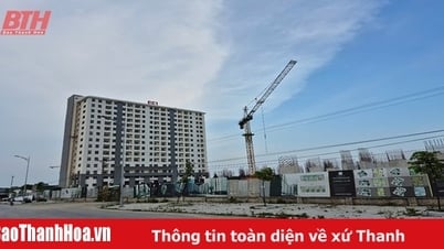 حلم الاستقرار أصبح حقيقة