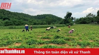 人工林の質の向上に伴う保護林資源の保護