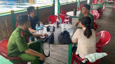 Nha Trang mobilizes restaurant owner to release 21 conchs back into the sea