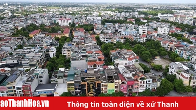 Phương án sắp xếp đơn vị hành chính cấp xã của các tỉnh, thành phố trong cả nước