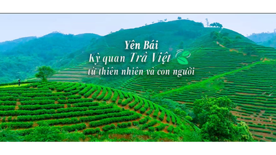 VIDEO: Maravillas del té vietnamita: de la naturaleza y la gente