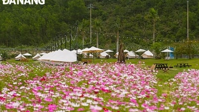 Contribuye con las estaciones de flores