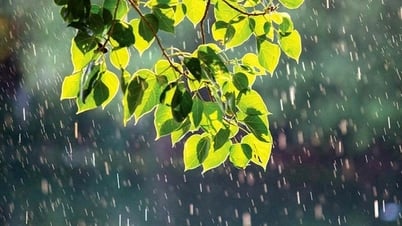 Afectado por el aire frío, el Norte presenta lluvias moderadas, fuertes lluvias y tormentas eléctricas.