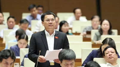 Đại biểu Dương Khắc Mai: Cân nhắc việc đưa một số mặt hàng vào diện thuế tiêu thụ đặc biệt