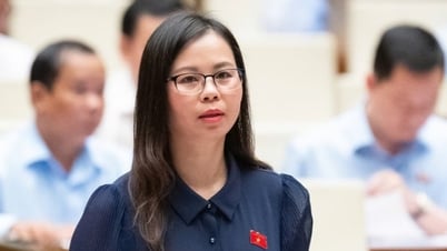 From the Quang Linh Vlogs advertising scandal, National Assembly delegates want stronger sanctions - Lang Son Newspaper and Radio and Television Station