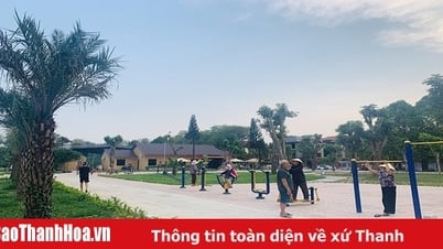 Giữ gìn không gian xanh cho phố thị