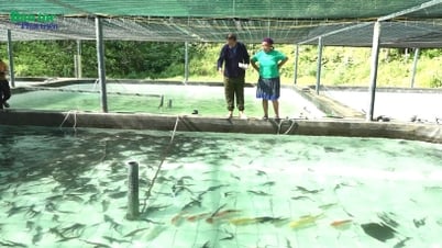 ナハウの森にチョウザメを連れてきた男