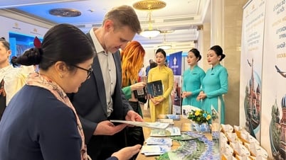 Việt Nam đẩy mạnh xúc tiến du lịch tại Nga, công bố đường bay thẳng Hà Nội – Moscow