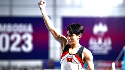Dang Ngoc Xuan Thien ganó la medalla de oro en la Copa Mundial de Gimnasia.