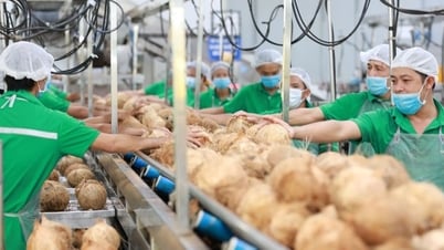 循環型農業バリューチェーンの構築に向けて力を合わせる