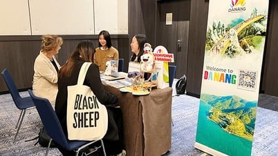 Da Nang promeut des produits touristiques uniques en Europe
