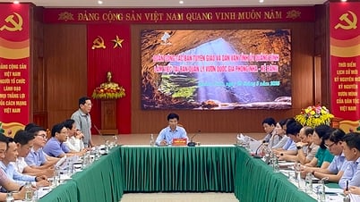 Phát huy các giá trị Di sản thiên nhiên thế giới