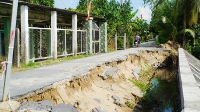 Huyện Cái Bè: Tập trung khắc phục tình trạng sạt lở bờ sông Cái Lân