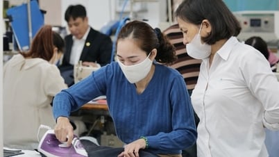 省市合併後、最低賃金が適用される予定の地域