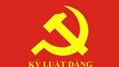 An Giang considers handling responsibilities for many party organizations and party members