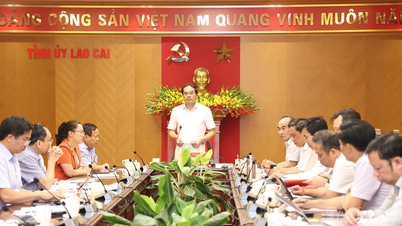 Sẽ phát động thi đua 90 ngày đêm hoàn thành giải phóng mặt bằng dự án đường sắt Lào Cai - Hà Nội - Hải Phòng đoạn qua tỉnh Lào Cai