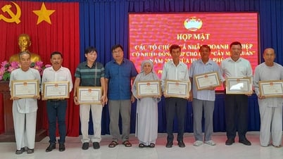 Phu Tan District Party Committee meets with organizations and individuals who have contributed to the Spring Tree Fund