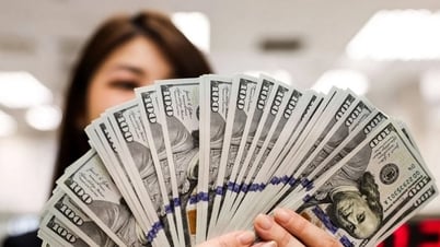 Tỷ giá USD hôm nay (10-5): Đồng USD hạ nhiệt, vẫn trụ vững trên...