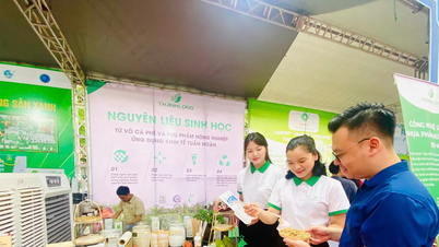 Cần có các chính sách và chương trình quốc gia về thúc đẩy khởi nghiệp xanh