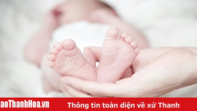 TP Hồ Chí Minh: Lập danh sách phụ nữ sinh đủ 2 con trước 35 tuổi được trợ cấp 3 triệu đồng