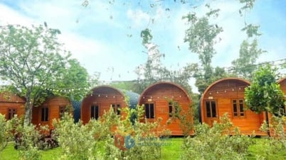 Chuyển biến mới ở vùng khó Hải Hà