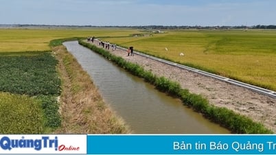 Nông dân Hải Lăng hưởng lợi từ dự án Hỗ trợ cải thiện hệ thống tưới tiêu