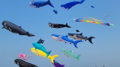 Nhiều bãi biển ở Phan Thiết rợp cánh diều gây ấn tượng cho du khách