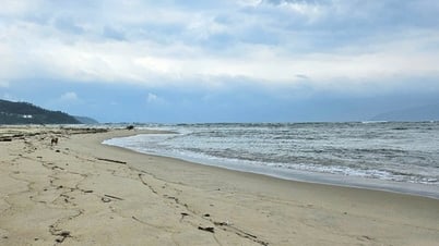 ダナン市、海域侵食に関するアイデアを検討する作業部会を設立