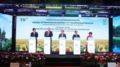 TH Group открывает молокоперерабатывающий завод с лидирующей мощностью в Российской Федерации