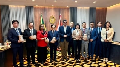 브라질 주재 부이 반 응이 대사와 ASEAN 대사들이 벨렘, 파라 주를 방문하여 업무 수행